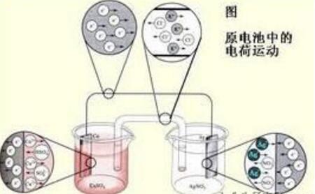 向日葵视频色版下载