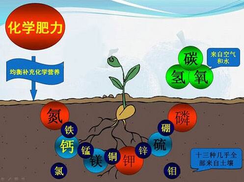 医用向日葵视频网站污对作物缺素病的识别