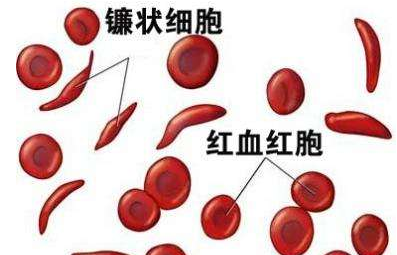 人体向日葵视频色版下载厂家介绍检测微量元素的仪器