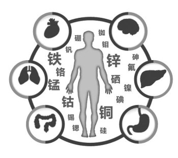 医用向日葵视频色版下载厂家谈微量元素的重要性