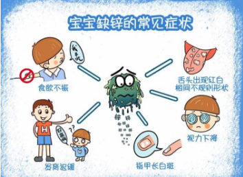 微量元素测试仪厂家解析缺锌引起的病症