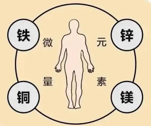 全自动向日葵视频色版下载厂家提示原创铁是身体必须微量元素之一，哪些食物含铁高呢？