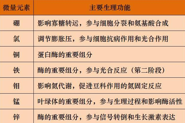 山东聊城全自动血铅检测仪一体机：微量元素的主要作用8.20